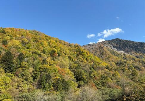 秋色に染まる山の紅葉と青空が美しい風景 秋,紅葉,山の写真素材