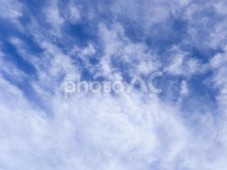 【風景写真】夏空 夏空,空,雲の写真素材