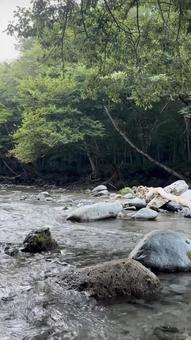 川 川の写真