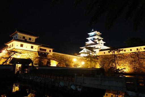 夜に輝く今治城 今治城,愛媛県,今治の写真素材