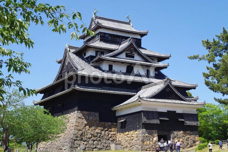 松江城 松江城,国宝,天守閣の写真素材