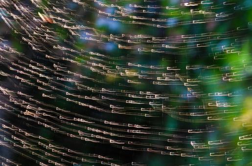 光の流動 光の流動の写真