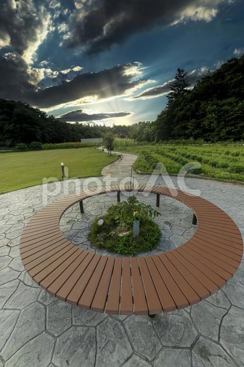 discoverシリーズ　サークル ワンダーファーム,農場,道の写真素材