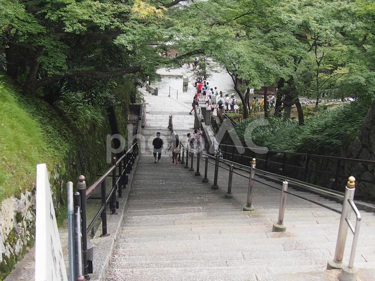 清水寺の石段 清水寺,京都,音羽山の写真素材