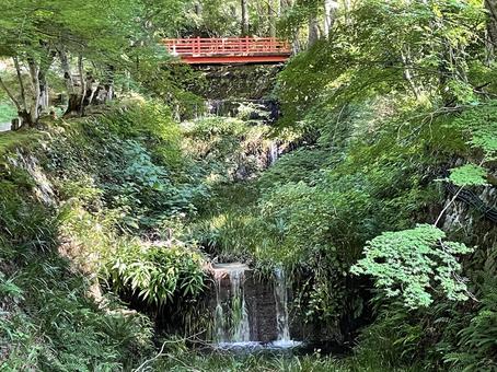 京都 大原三千院 庭園 京都 大原三千院 庭園 大原三千院,京都,庭園の写真素材