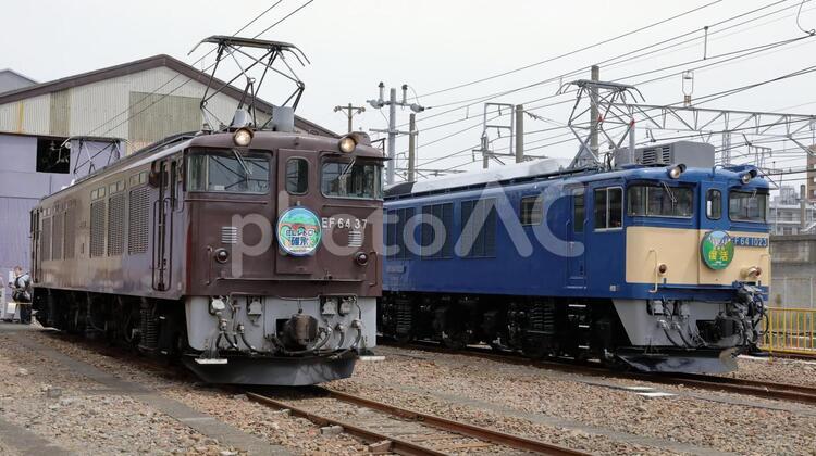 EF64-０番台とEF64-1000番台の展示会 ef64,０番台,1000番台の写真素材
