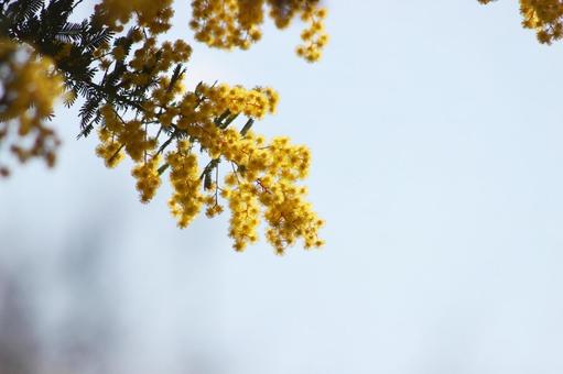 カラノラ 風景,春,背景の写真素材