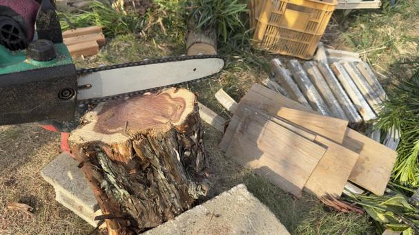 Chainsaw Swedish Torch Making, JPG Chainsaw Swedish Torch Making, JPG