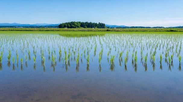 青い空と山々を映す、水が張られた田んぼ 青い空と山々を映す、水が張られた田んぼの写真