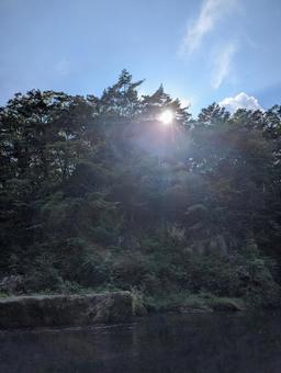 自然 自然の写真