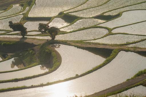 佐賀-【土谷棚田の夕景】 佐賀-【土谷棚田の夕景】 佐賀県,佐賀,松浦市の写真素材