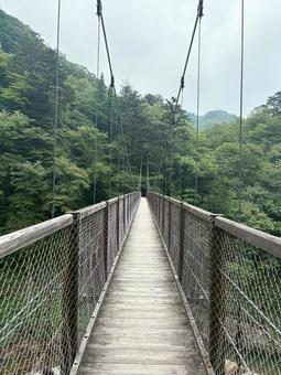 吊り橋 吊り橋の写真