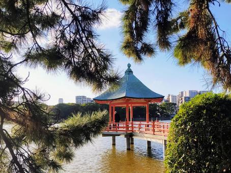 公園 福岡,秋,公園の写真素材