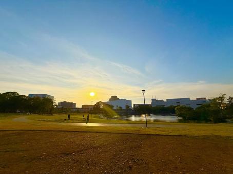多摩中央公園の絶景サンセット 多摩中央公園の絶景サンセット 多摩中央公園,夕方,夕日の写真素材