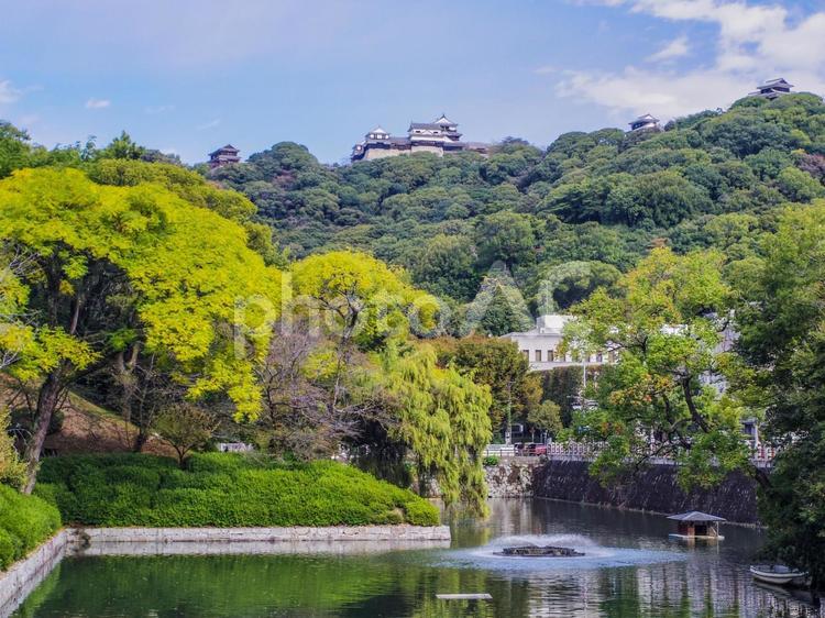 【愛媛県】松山城天守閣 松山城,愛媛県,松山市の写真素材