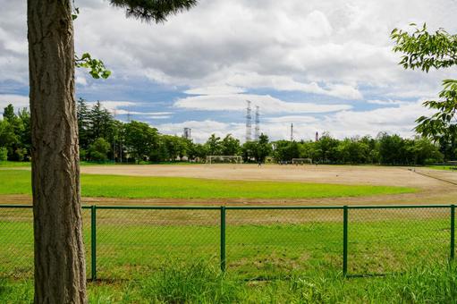 緑地公園の風景⑶ 緑地公園の風景⑶ 樹木,木,緑の写真素材