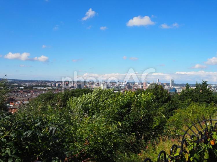 緑の丘から眺める町並 町並,見晴らし,自然の写真素材