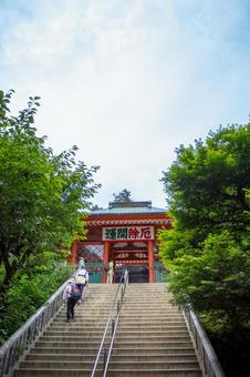 高尾山薬王院 仁王門 高尾山薬王院 仁王門の写真