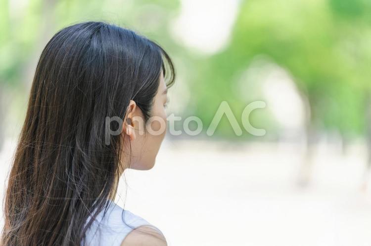 新緑と横顔の女性（黒髪・ロングヘアー） 女性,新緑,後ろ姿の写真素材