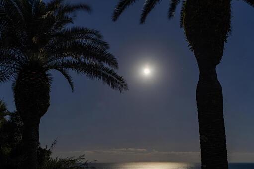 堀切峠で見た満月 夜景,夜,堀切峠の写真素材