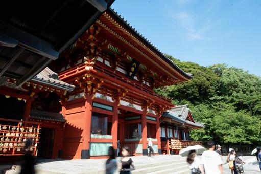 ［神奈川県鎌倉市］鶴岡八幡宮 鎌倉,鶴岡八幡宮,本宮の写真素材
