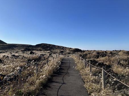 大島三原山山頂のススキ風景 大島,三原山,山頂の写真素材