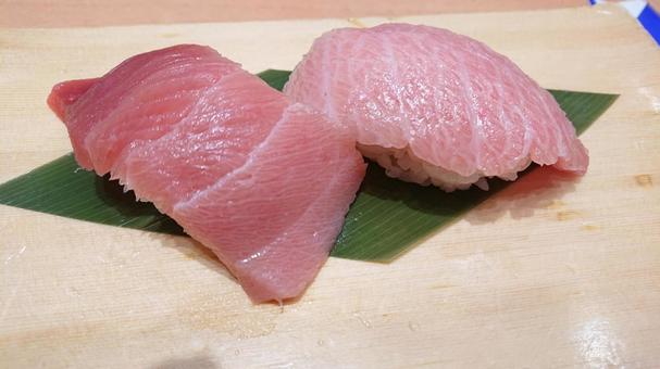 マグロのお寿司 マグロのお寿司 大トロ,中トロ,まぐろの写真素材