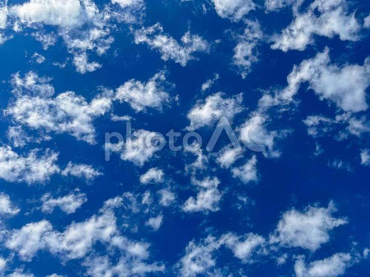 青空に浮かぶ雲(背景・待ち受け) 背景,テクスチャ,背景画像の写真素材