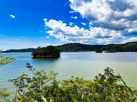福浦島の自然と松島湾の眺め01 福浦島,松島,海の写真素材