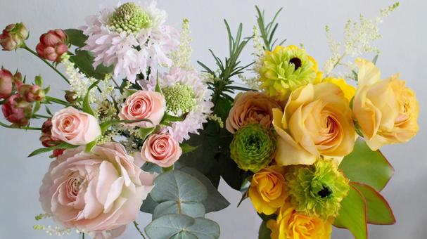 ピンクとキイロの花々 ピンクとキイロの花々 花,フラワーズ,バラの写真素材