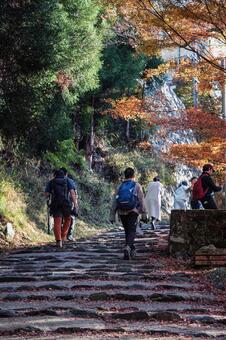 高雄 神護寺の参道 京都,高雄,自然の写真素材