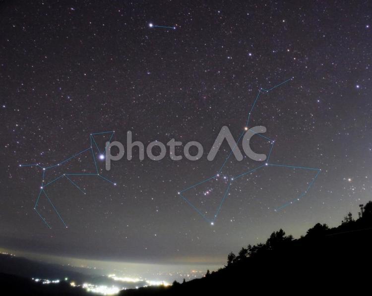 冬の大三角形③（星座線）・天体 冬の大三角形,オリオン座,星座の写真素材