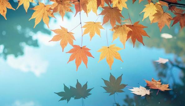 秋の紅葉 秋の紅葉の写真