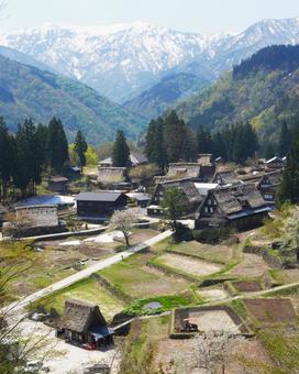 富山 五箇山 合掌造り集落 富山 五箇山 合掌造り集落 合掌造り,合掌集落,五箇山の写真素材