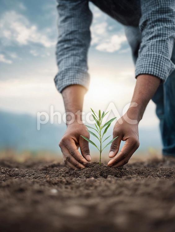 未来への投資：環境を大切にする植樹の瞬間 植える,苗木,植物の写真素材
