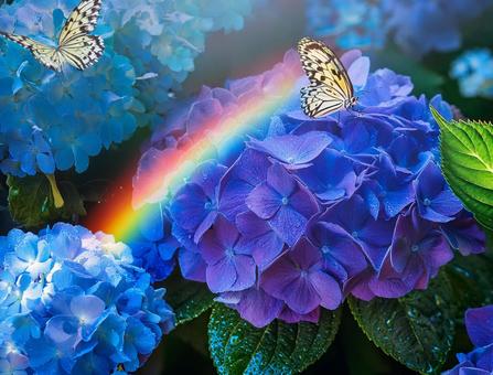 紫陽花と蝶 紫陽花と蝶の写真