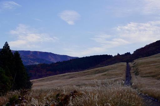 秋の仙石原 仙石原,日本,秋の写真素材