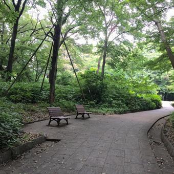 ベンチ ベンチ,石畳,公園の写真素材