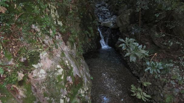 多度大社　境内の風景　落葉川 多度大社,神社,神社仏閣の写真素材