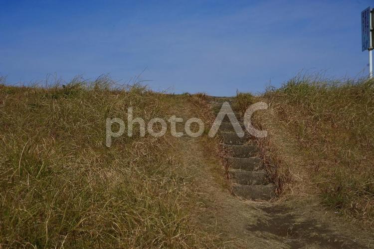 堤防の階段 川,河川,朝の写真素材