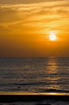 夕暮れ時の湘南の海 夕暮れ時の湘南の海 湘南,海,さざ波の写真素材