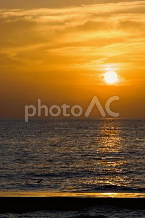 夕暮れ時の湘南の海 夕暮れ時の湘南の海 湘南,海,さざ波の写真素材