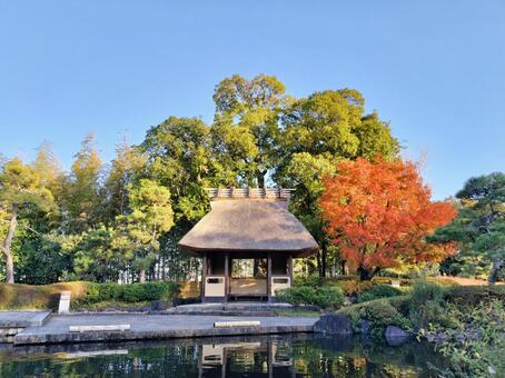 丈山苑の紅葉 丈山苑,安城,石川丈山の写真素材