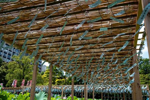 夏の風物詩・風鈴(上野公園)4 夏の風物詩・風鈴(上野公園)4 風鈴,ふうりん,夏の写真素材