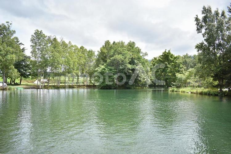 自然・風景　美しい池 静寂,旅行,水の写真素材