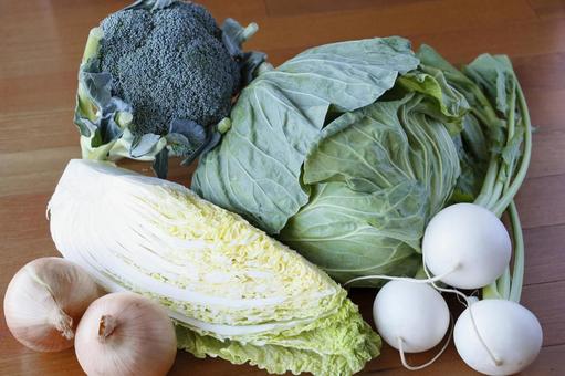 野菜色々 野菜,キャベツ,白菜の写真素材
