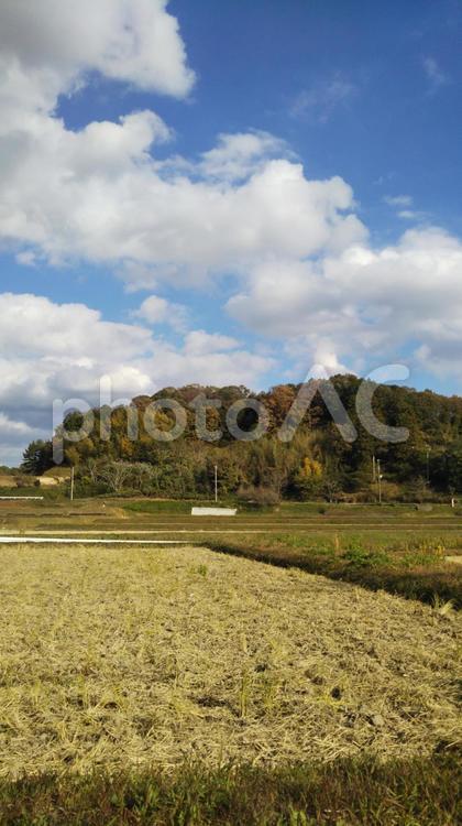 田舎の風景　稲刈り後 田舎,田んぼ,稲刈り後の写真素材
