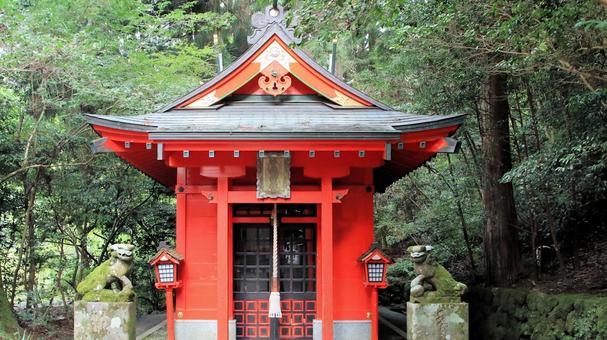 夏の朝の箱根神社参道脇の曽我神社 夏の朝の箱根神社参道脇の曽我神社 曽我神社,お参り,夏の写真素材