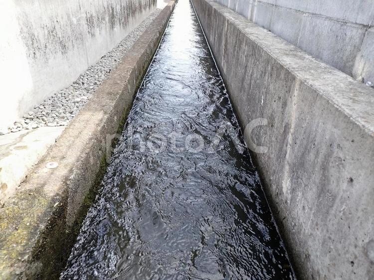 用水路 側溝,溝,道の写真素材