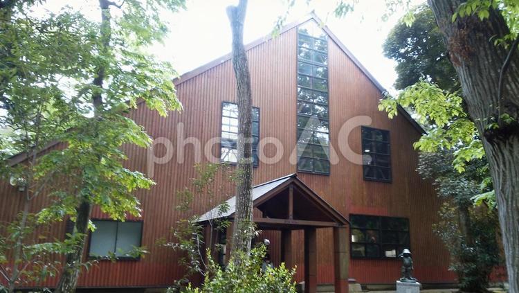 井の頭自然文化園　吉祥寺　東京 井の頭自然文化園,吉祥寺,東京の写真素材